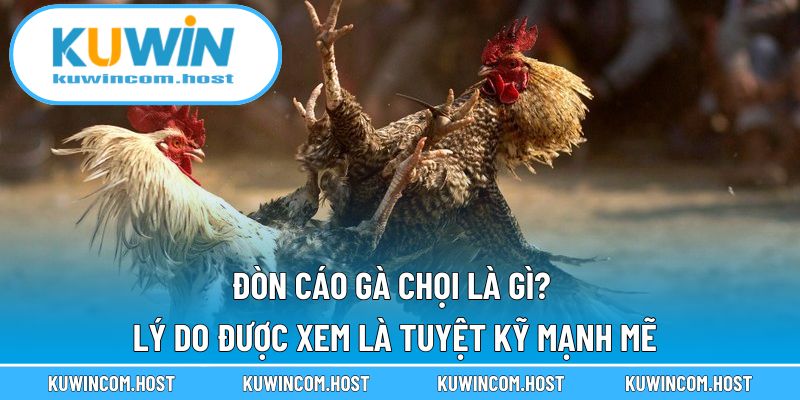 Đòn Cáo Gà Chọi Là Gì? Lý Do Được Xem Là Tuyệt Kỹ Mạnh Mẽ