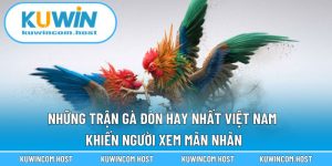 Những Trận Gà Đòn Hay Nhất Việt Nam Khiến Người Xem Mãn Nhãn