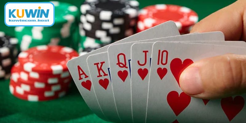 Những quyền lợi đặc biệt dành cho cộng đồng cược thủ