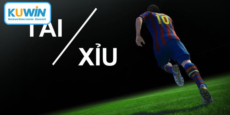 Phân tích các dạng tỷ lệ đặc trưng trong bộ môn bóng đá